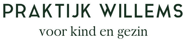 Willems Praktijk Voor Orthopedagogiek